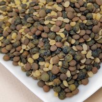 Traveler's Blend Lentils