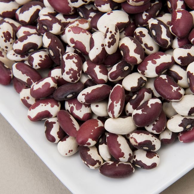 Anasazi Beans