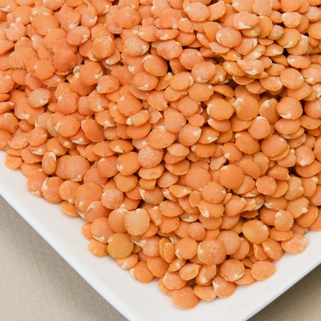 Red Chief Lentils