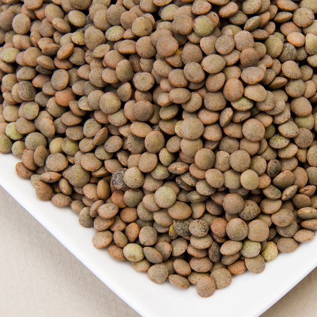 Spanish Pardina Lentils