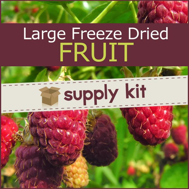 Large Freeze Dried Fruit Supply Kit (7 lbs)