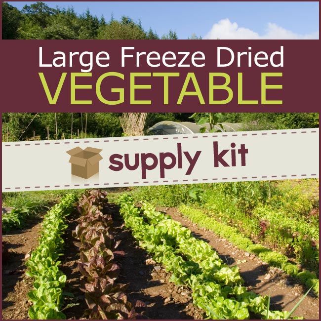 freeze dried vegetable supply kit