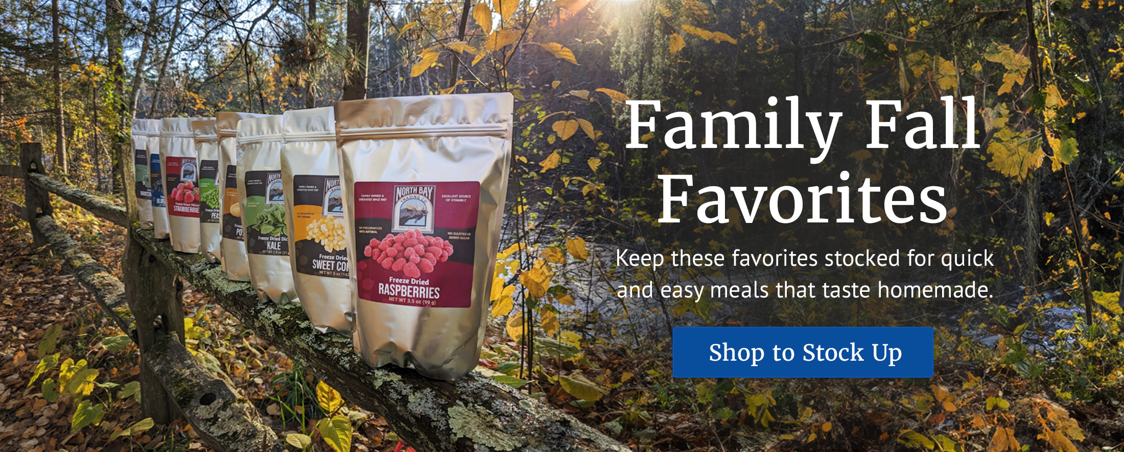 Fall Favorites