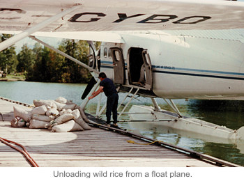 Unloading wild rice from a float plane