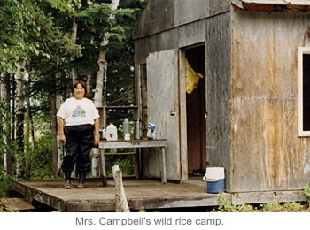 Mrs. Campbell's wild rice camp